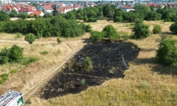104 Wiesenbrand 2